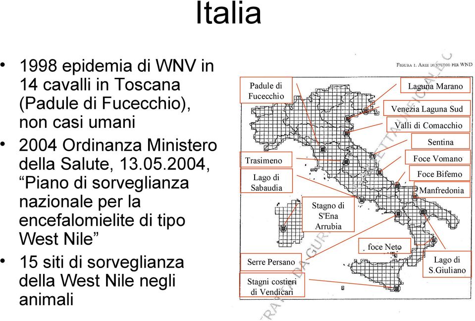 2004, Piano di sorveglianza nazionale per la encefalomielite di tipo West Nile 15 siti di sorveglianza della West Nile negli