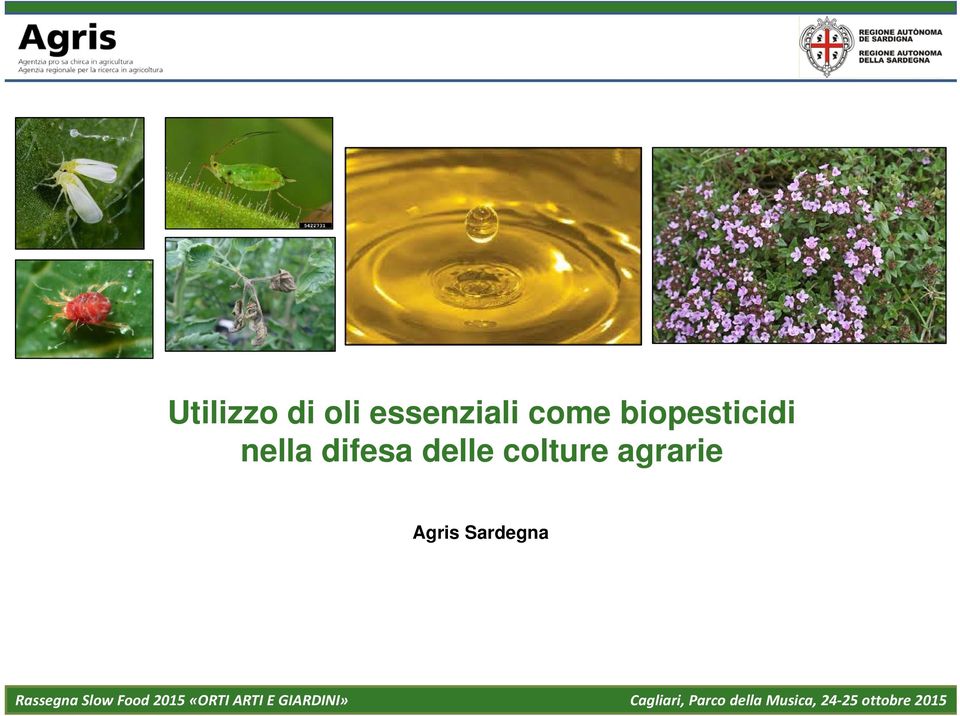 officinali Slow Foodella 2015 Sardegna «ORTI ARTI Pula, E