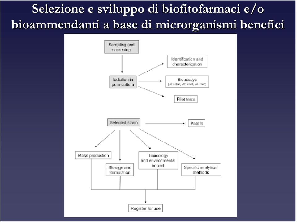 bioammendanti a base