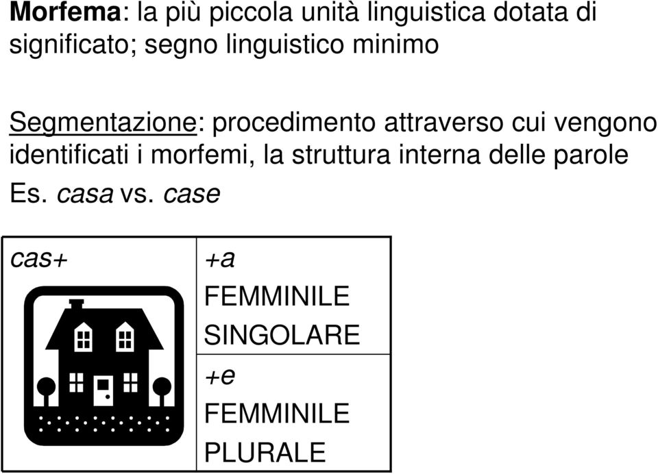 cui vengono identificati i morfemi, la struttura interna delle