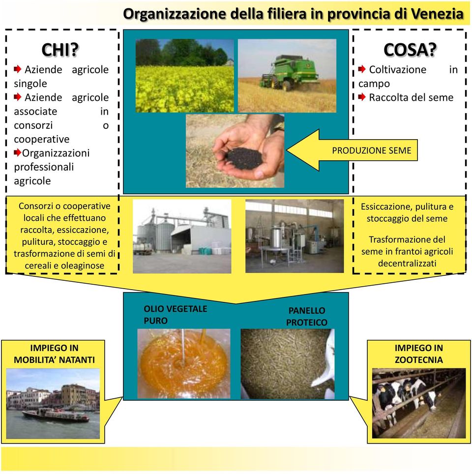 locali che effettuano raccolta, essiccazione, pulitura, stoccaggio e trasformazione di semi di cereali e oleaginose COSA?