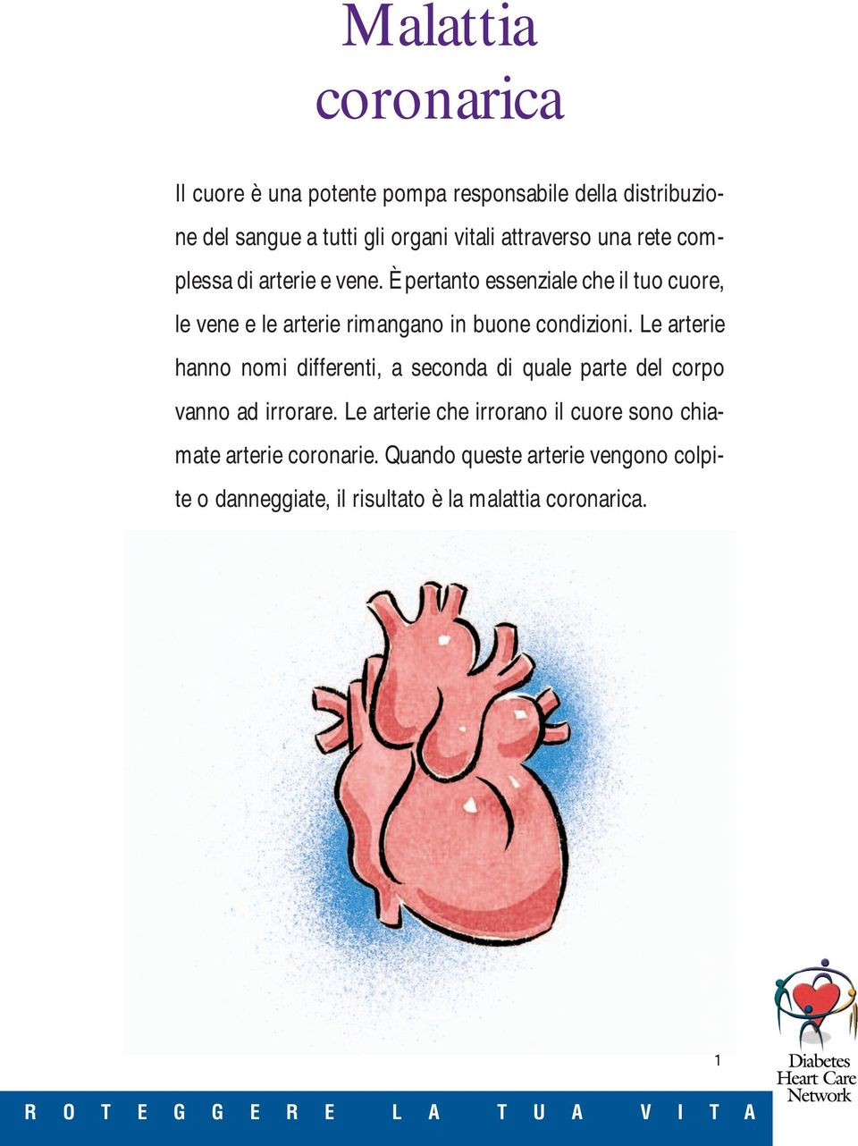 Le arterie hanno nomi differenti, a seconda di quale parte del corpo vanno ad irrorare.