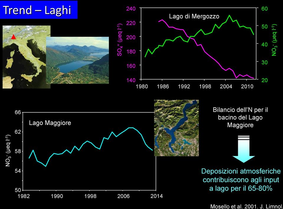 Maggiore Bilancio dell N per il bacino del Lago Maggiore 58 54 50 1982 1990 1998 2006 2014