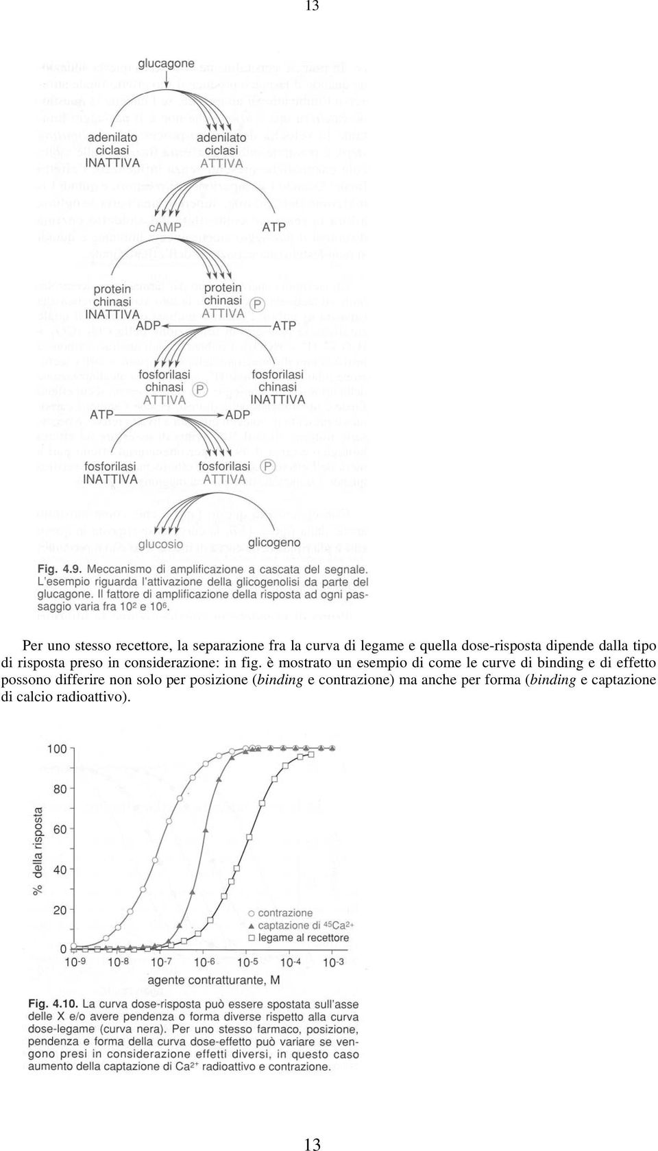 è mostrato un esempio di come le curve di binding e di effetto possono differire non