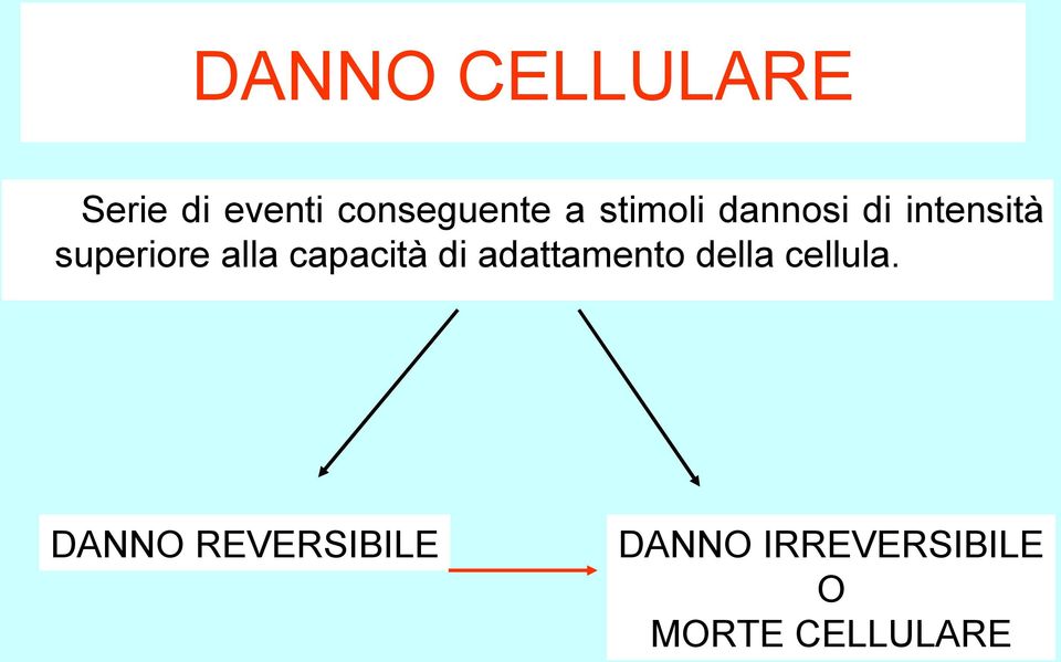 capacità di adattamento della cellula.