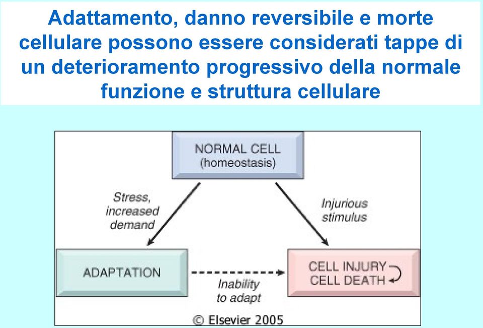 tappe di un deterioramento progressivo