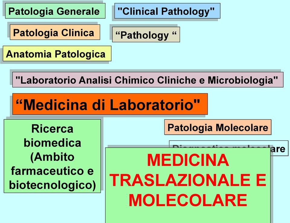 Medicina di Laboratorio" Ricerca biomedica (Ambito farmaceutico e