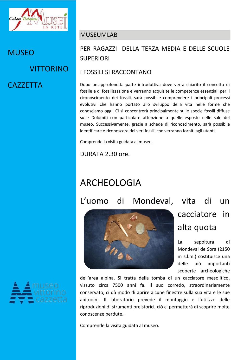 nelle forme che conosciamo oggi. Ci si concentrerà principalmente sulle specie fossili diffuse sulle Dolomiti con particolare attenzione a quelle esposte nelle sale del museo.