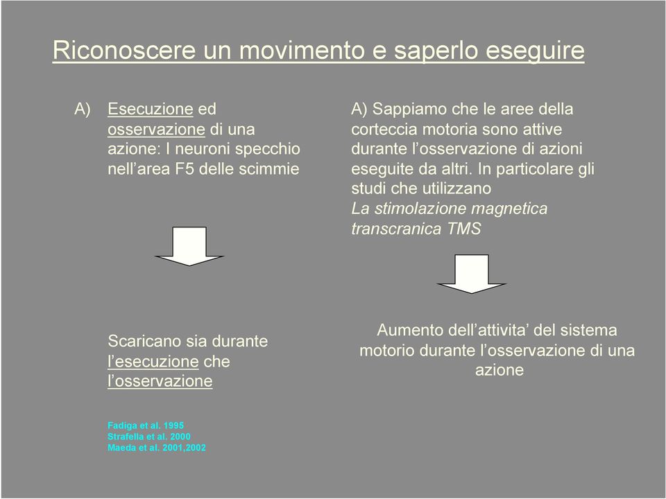 In particolare gli studi che utilizzano La stimolazione magnetica transcranica TMS Scaricano sia durante l esecuzione che l