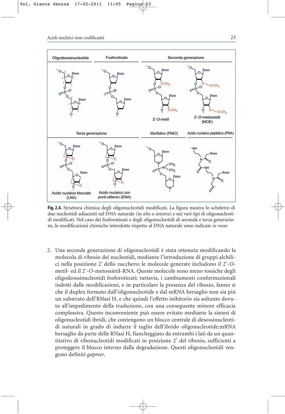 Nel caso dei fosforotioati e degli oligonucleotidi di seconda e terza generazione, le modificazioni chimiche introdotte rispetto al DNA naturale sono indicate in rosso 2.