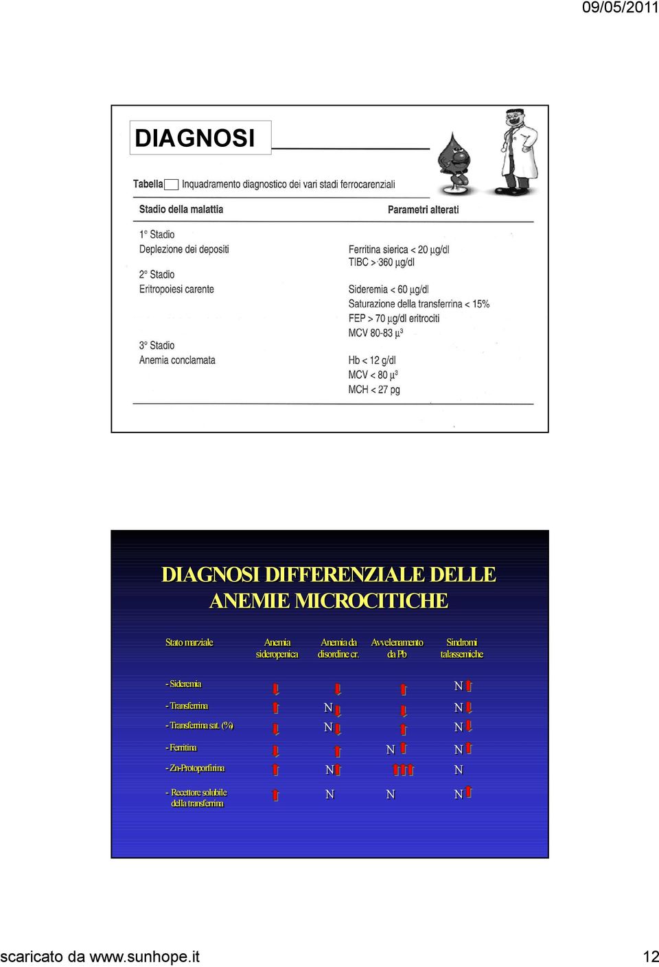 Avvelenamento da Pb Sindromi talassemiche - Sideremia N - Transferrina N N - Transferrina