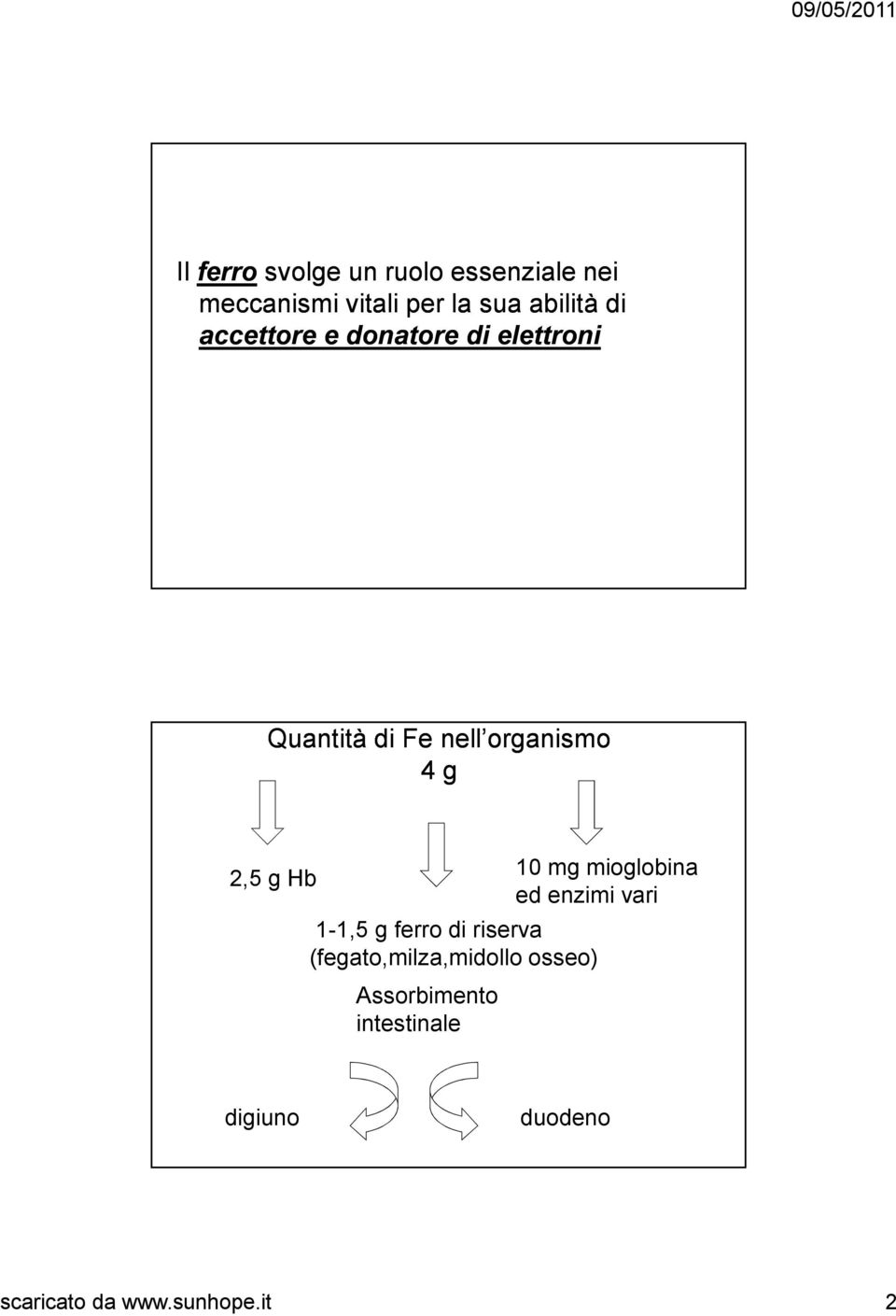 Hb 1-1,5 g ferro di riserva (fegato,milza,midollo osseo) Assorbimento