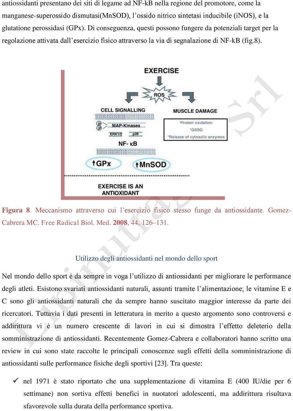 Meccanismo attraverso cui l esercizio fisico stesso funge da antiossidante. Gomez- Cabrera MC. Free Radical Biol. Med. 2008, 44, 126 131.