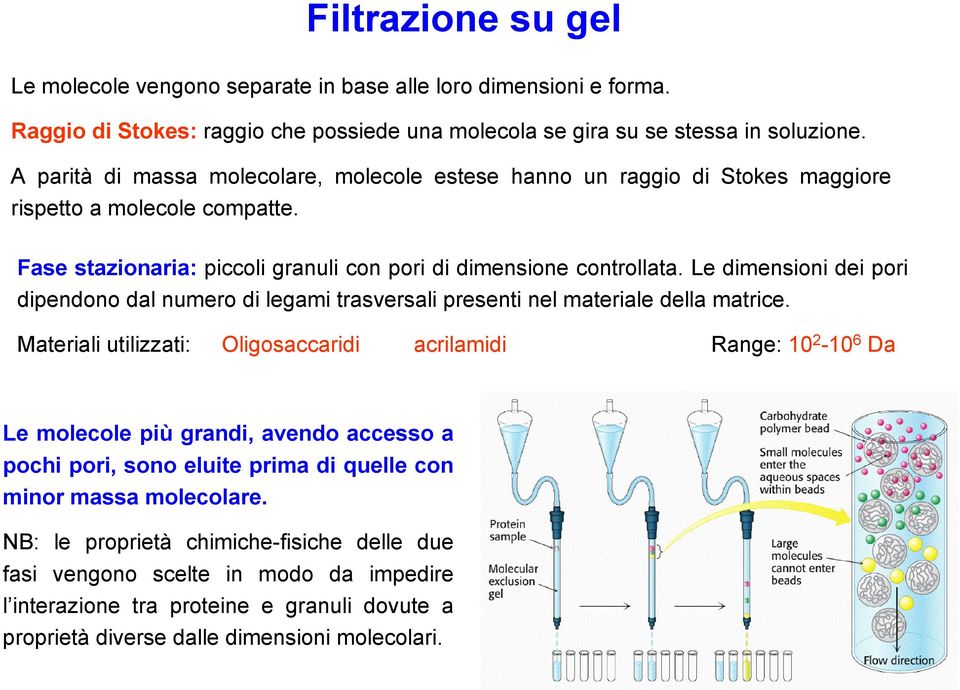 Le dimensioni dei pori dipendono dal numero di legami trasversali presenti nel materiale della matrice.