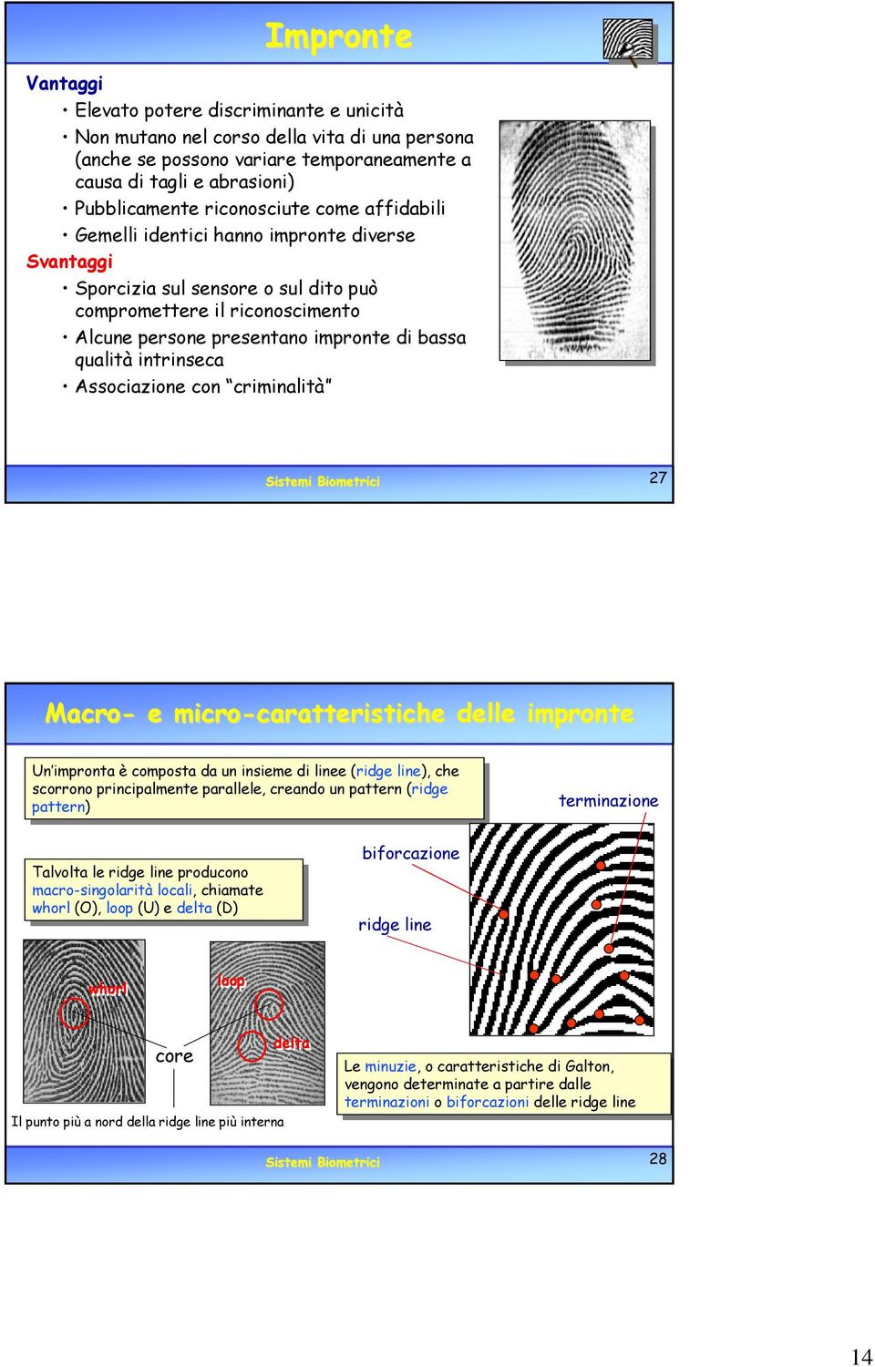intrinseca Associazione con criminalità Sistemi Biometrici 27 Macro- e micro-caratteristiche caratteristiche delle impronte Un impronta Un impronta èè composta composta da da un un insieme insieme di