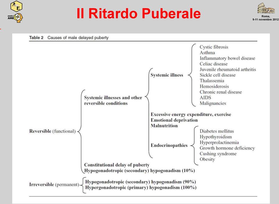 Puberale