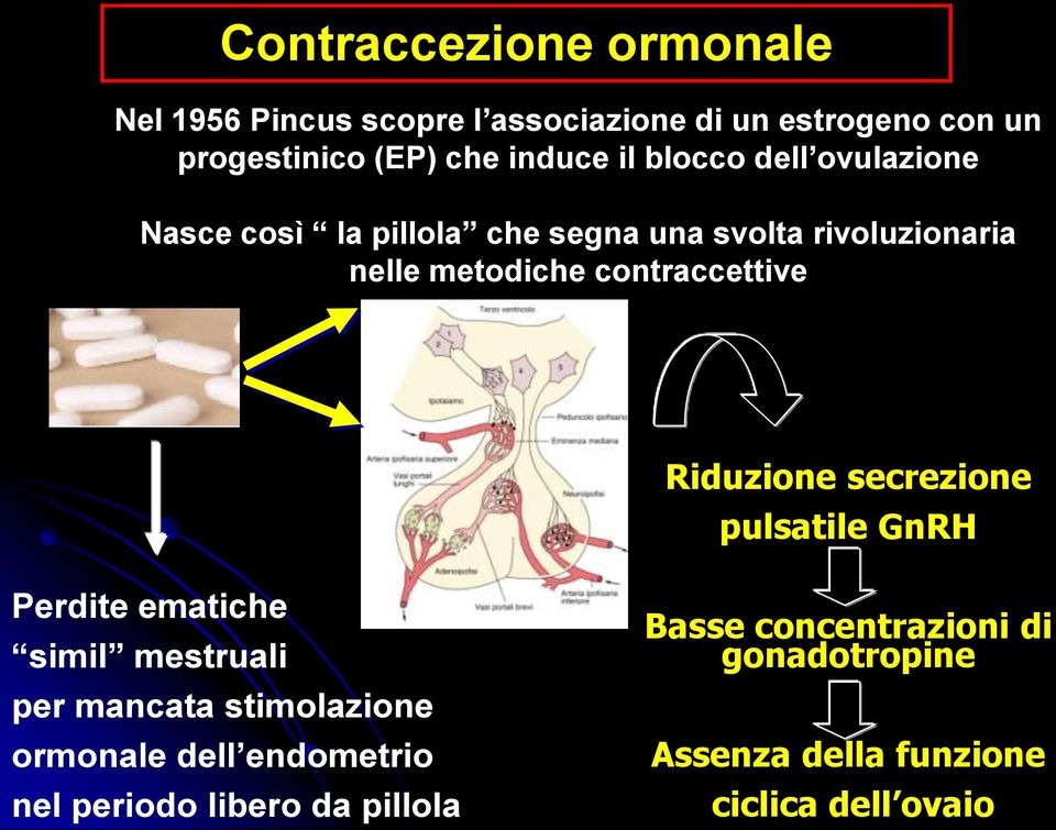 Riduzione secrezione pulsatile GnRH Perdite ematiche simil mestruali per mancata stimolazione ormonale dell