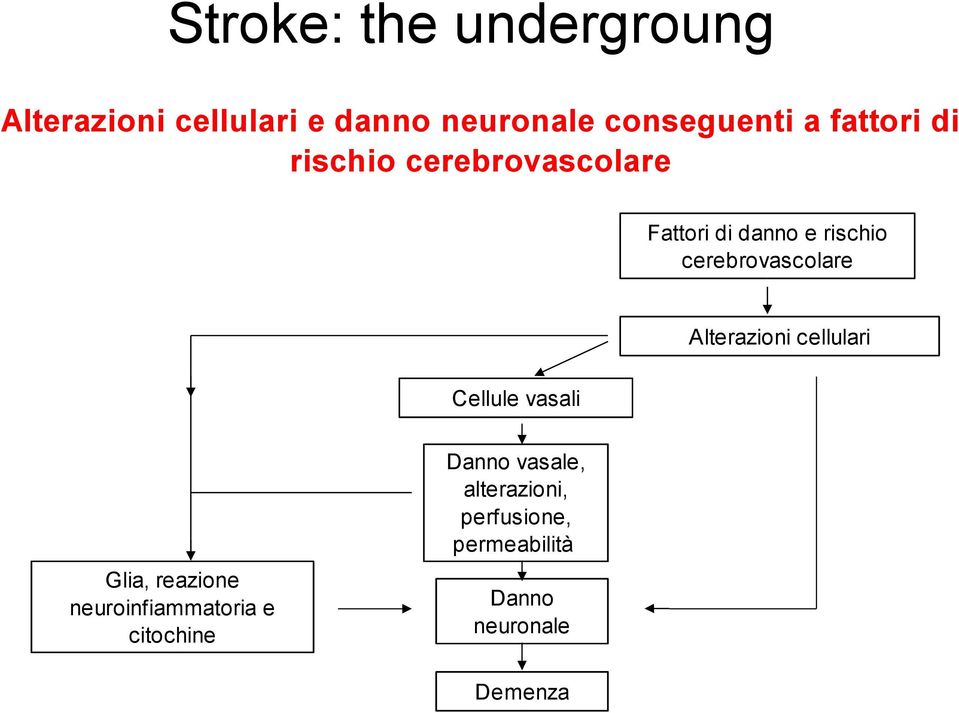 cerebrovascolare Alterazioni cellulari Cellule vasali Glia, reazione