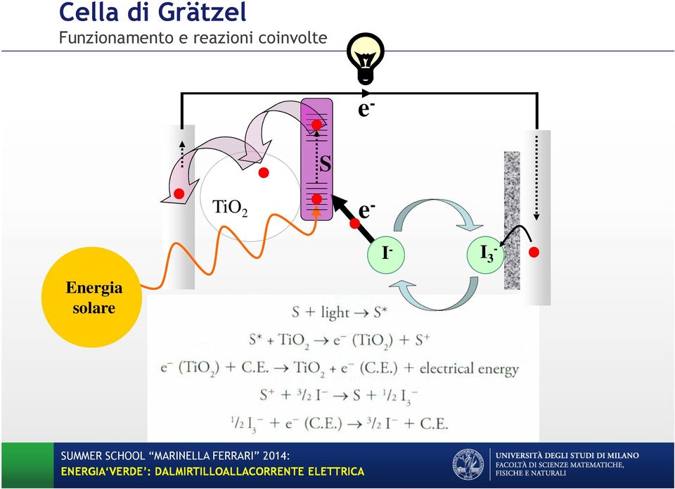 reazioni coinvolte e -