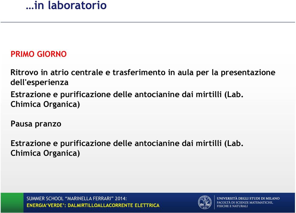 delle antocianine dai mirtilli (Lab.