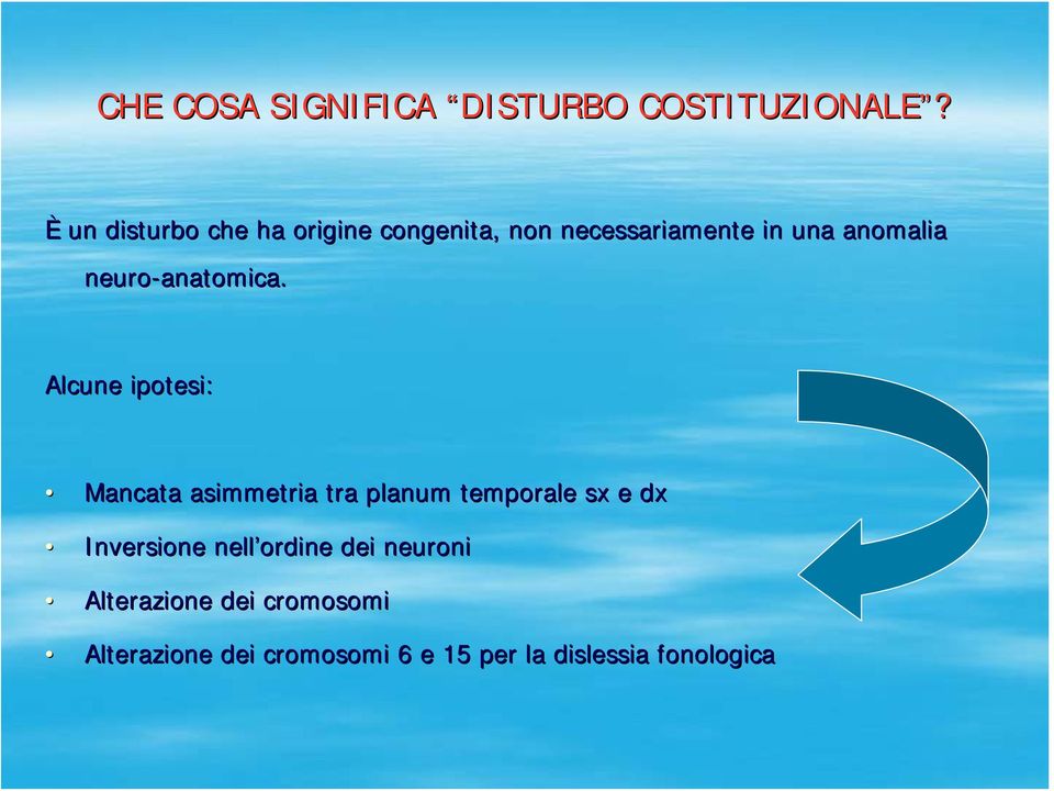 neuro-anatomica.