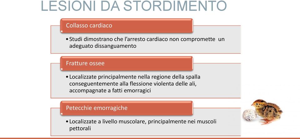 regione della spalla conseguentemente alla flessione violenta delle ali, accompagnate a