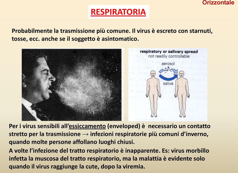 Per i virus sensibili all essiccamento (enveloped) è necessario un contatto stretto per la trasmissione infezioni respiratorie più