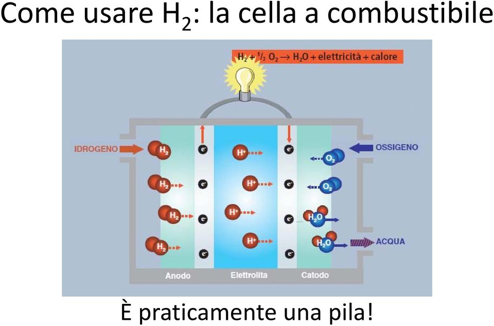 combustibile È