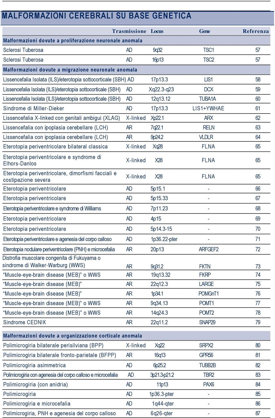 3-q23 DCX 59 Lissencefalia Isolata (ILS)/eterotopia sottocorticale (SBH) 12q13.12 TUBA1A 60 Sindrome di Miller-Dieker 17p13.