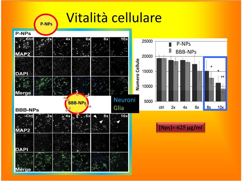 Numero Cellule