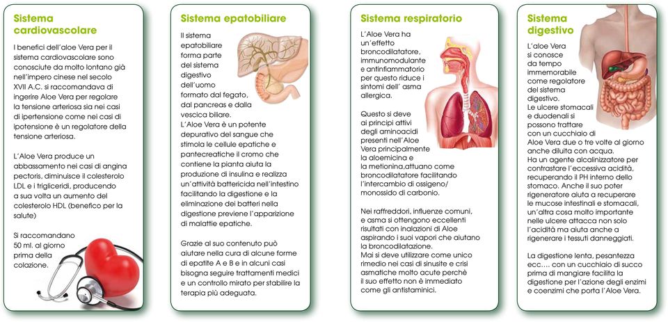 L Aloe Vera produce un abbassamento nei casi di angina pectoris, diminuisce il colesterolo LDL e i trigliceridi, producendo a sua volta un aumento del colesterolo HDL (benefico per la salute) Si