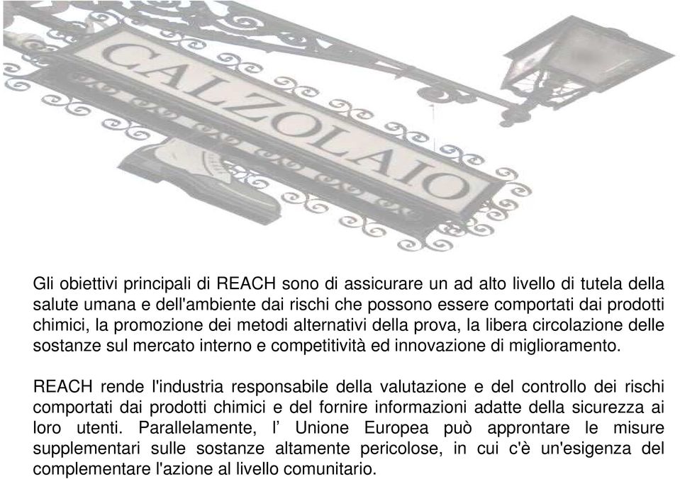 REACH rende l'industria responsabile della valutazione e del controllo dei rischi comportati dai prodotti chimici e del fornire informazioni adatte della sicurezza ai loro