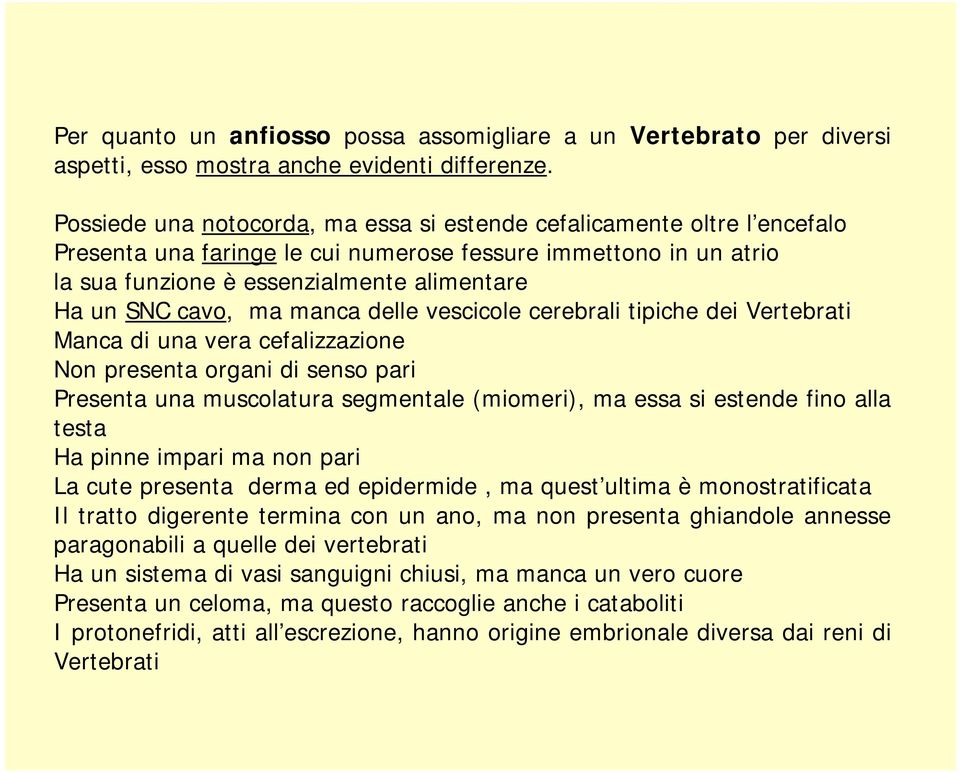 cavo, ma manca delle vescicole cerebrali tipiche dei Vertebrati Manca di una vera cefalizzazione Non presenta organi di senso pari Presenta una muscolatura segmentale (miomeri), ma essa si estende