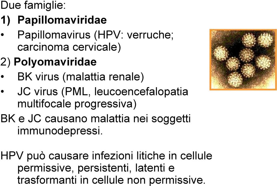 progressiva) BK e JC causano malattia nei soggetti immunodepressi.