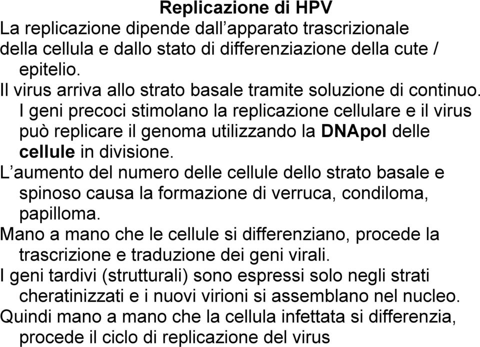 I geni precoci stimolano la replicazione cellulare e il virus può replicare il genoma utilizzando la DNApol delle cellule in divisione.