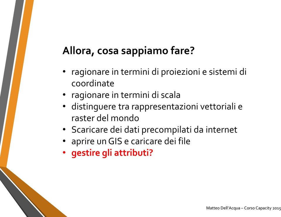 in termini di scala distinguere tra rappresentazioni vettoriali e