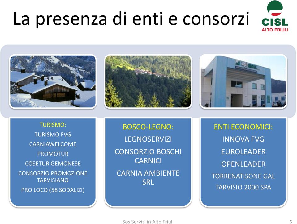 LEGNOSERVIZI CONSORZIO BOSCHI CARNICI CARNIA AMBIENTE SRL ENTI ECONOMICI: INNOVA