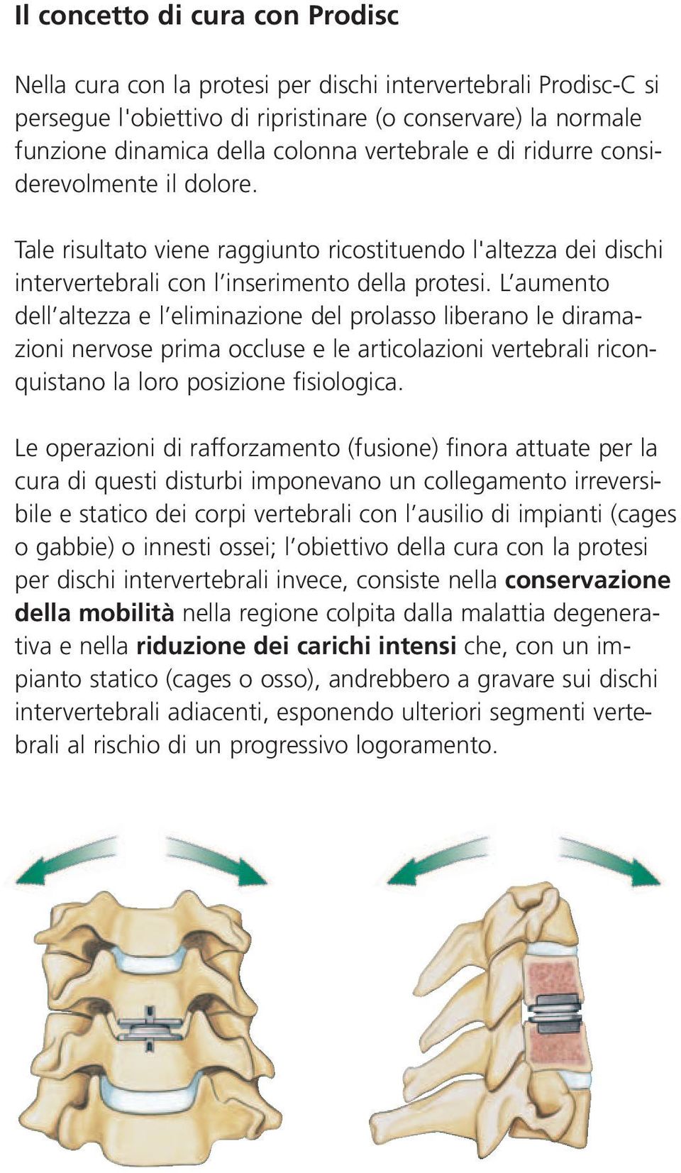 L aumento dell altezza e l eliminazione del prolasso liberano le diramazioni nervose prima occluse e le articolazioni vertebrali riconquistano la loro posizione fisiologica.