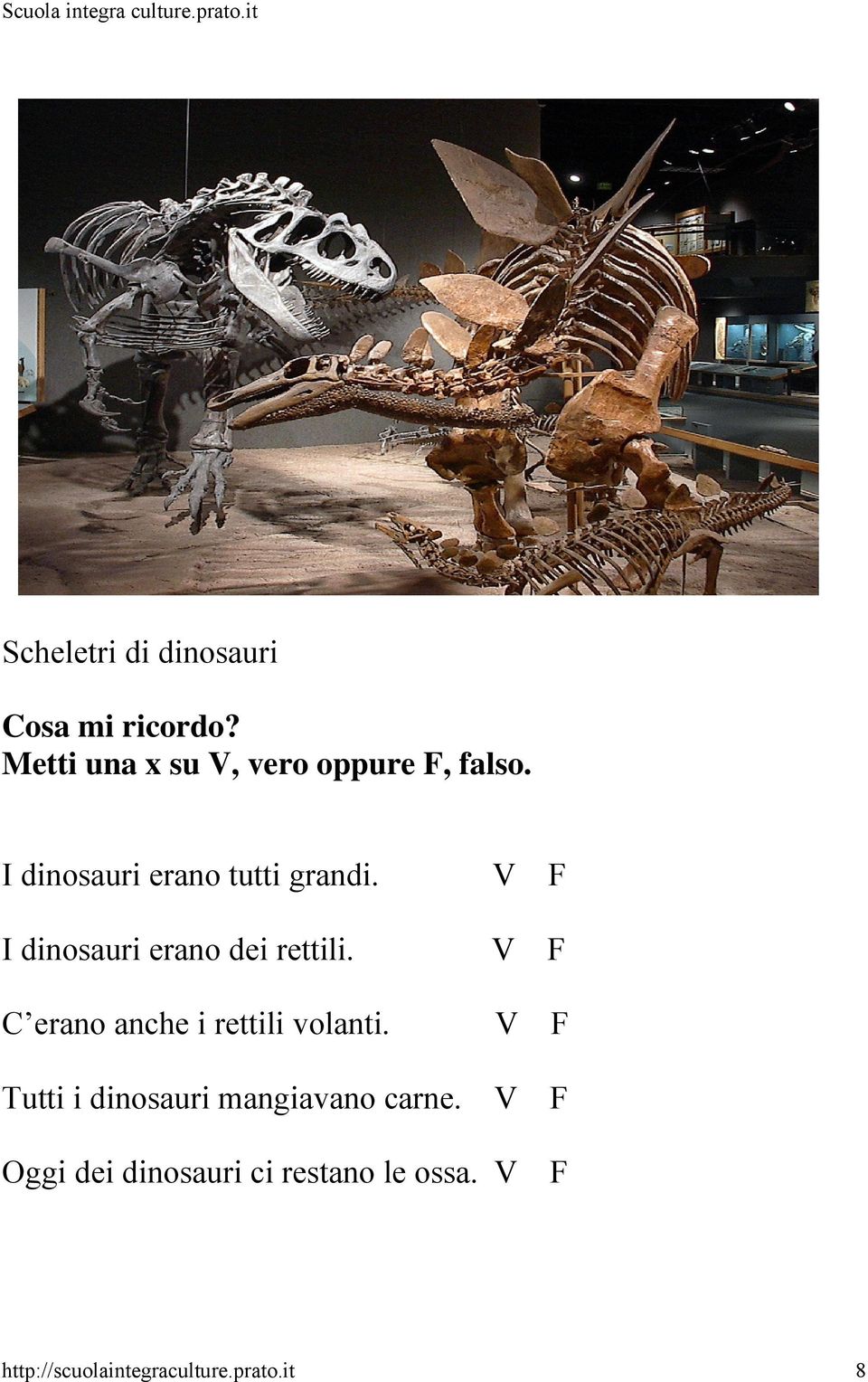 V F I dinosauri erano dei rettili. V F C erano anche i rettili volanti.