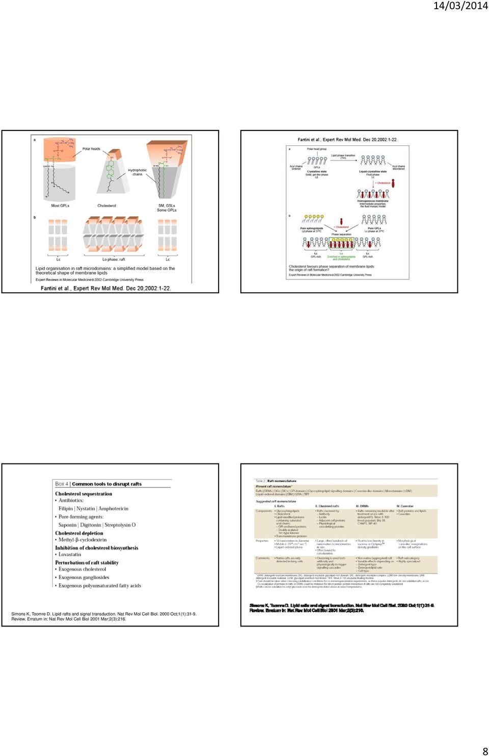 Nat Rev Mol Cell Biol.