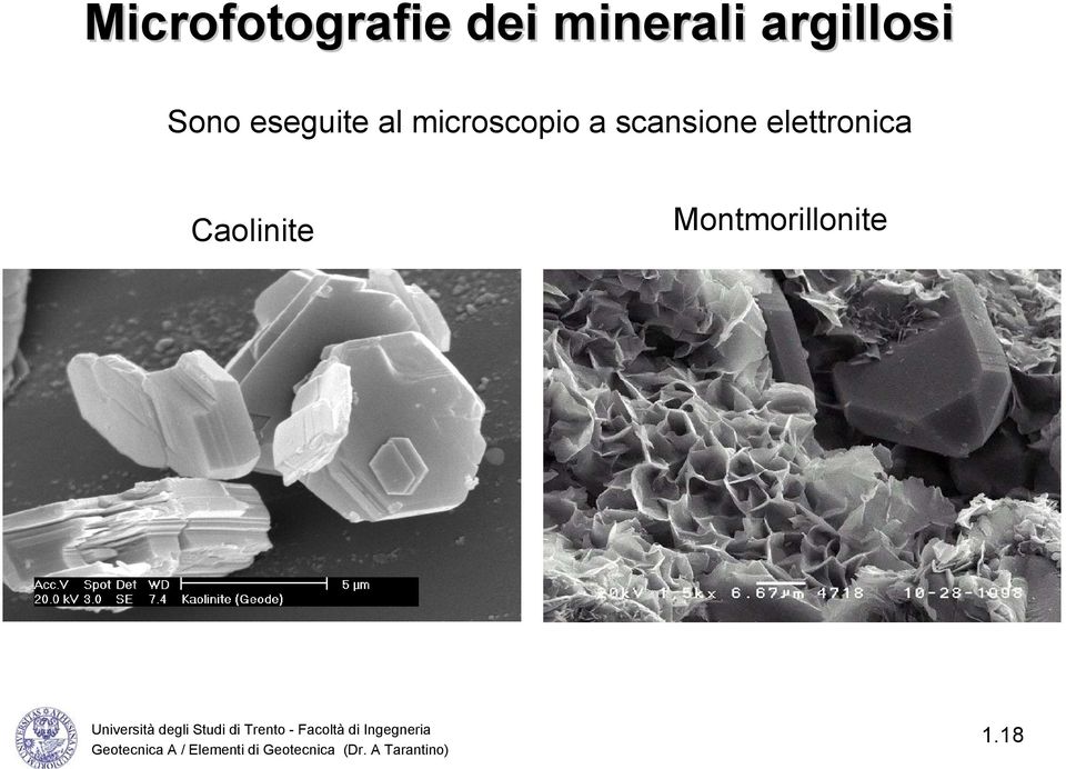 microcopio a canione