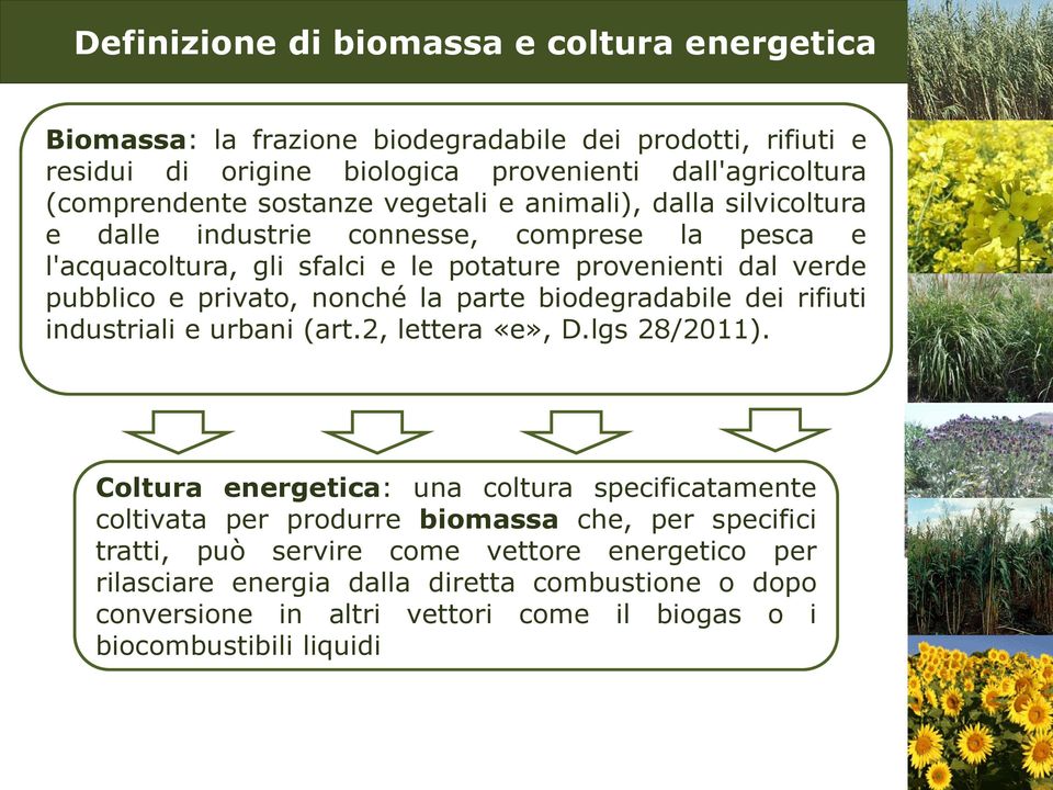 nonché la parte biodegradabile dei rifiuti industriali e urbani (art.2, lettera «e», D.lgs 28/2011).