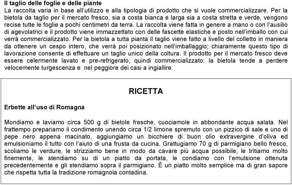 La raccolta viene fatta in genere a mano o con l ausilio di agevolatrici e il prodotto viene immazzettato con delle fascette elastiche e posto nell imballo con cui verrà commercializzato.