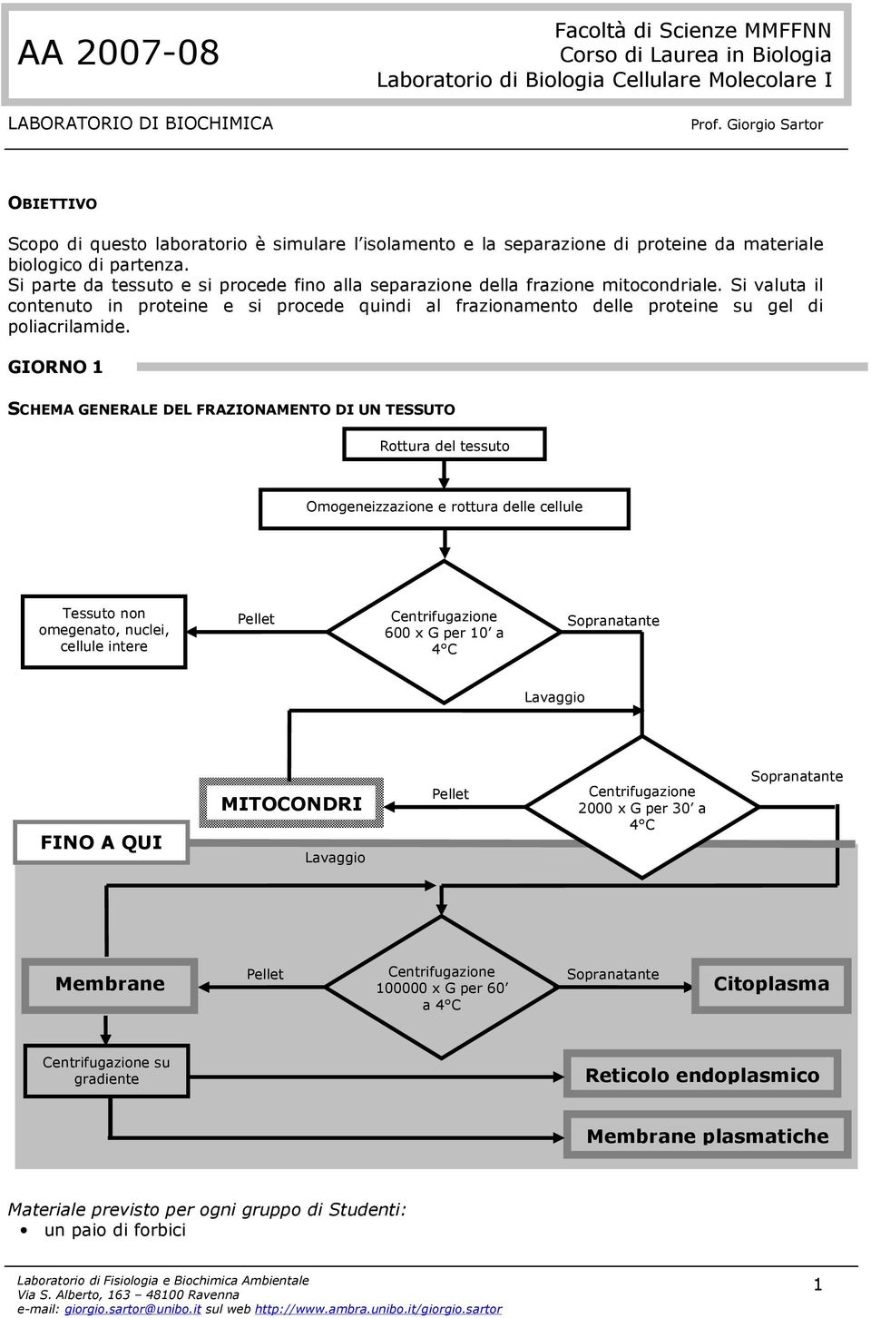 GIORNO 1 SCHEMA GENERALE DEL FRAZIONAMENTO DI UN TESSUTO Rottura del tessuto Omogeneizzazione e rottura delle cellule Tessuto non omegenato, nuclei, cellule intere Pellet Centrifugazione 600 x G per