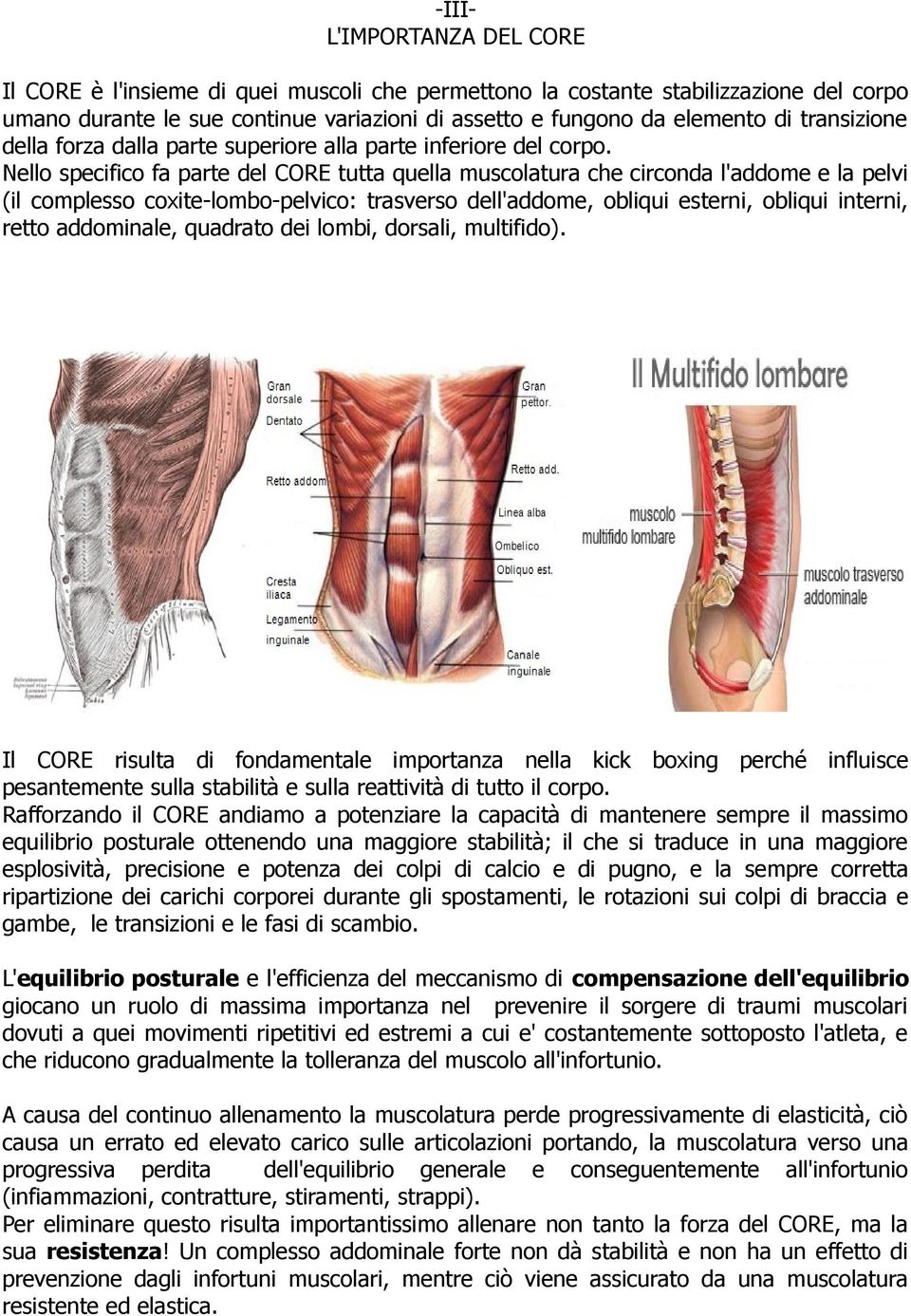 Nello specifico fa parte del CORE tutta quella muscolatura che circonda l'addome e la pelvi (il complesso coxite-lombo-pelvico: trasverso dell'addome, obliqui esterni, obliqui interni, retto