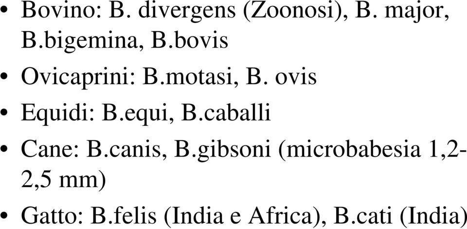 ovis Equidi: B.equi, B.caballi Cane: B.canis, B.