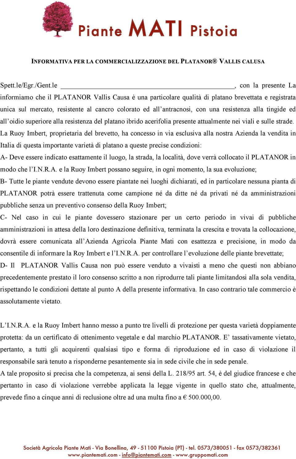 resistenza alla tingide ed all oidio superiore alla resistenza del platano ibrido acerifolia presente attualmente nei viali e sulle strade.