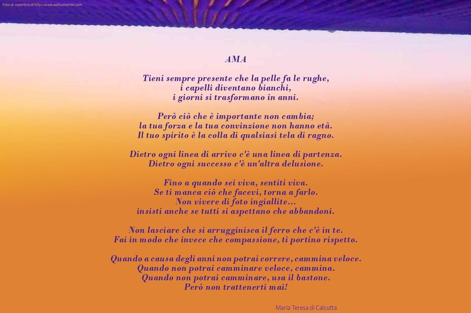 Dietro ogni successo c'è un'altra delusione. Fino a quando sei viva, sentiti viva. Se ti manca ciò che facevi, torna a farlo.