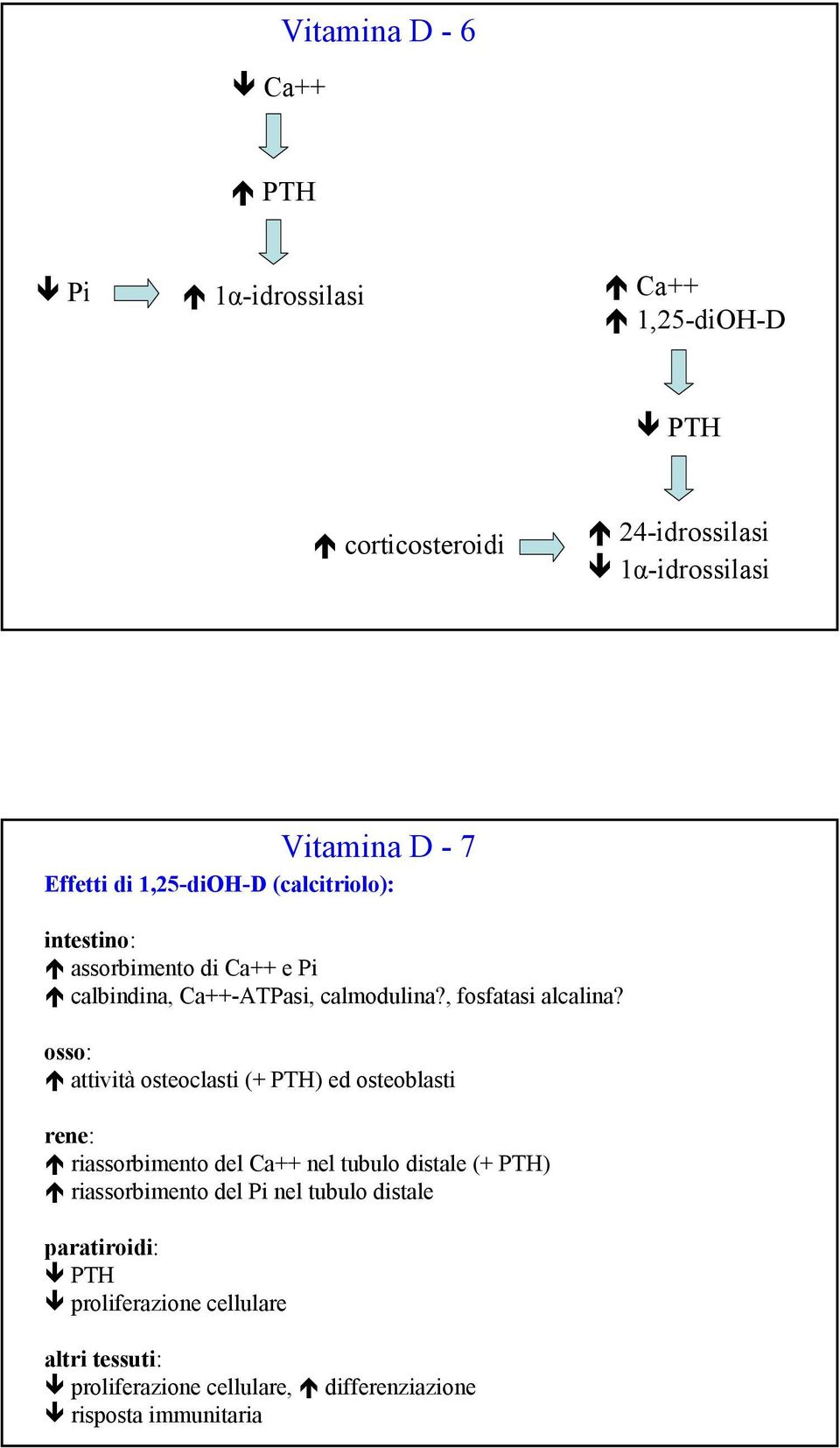 osso: attività osteoclasti (+ PTH) ed osteoblasti rene: riassorbimento del Ca++ nel tubulo distale (+ PTH) riassorbimento del Pi