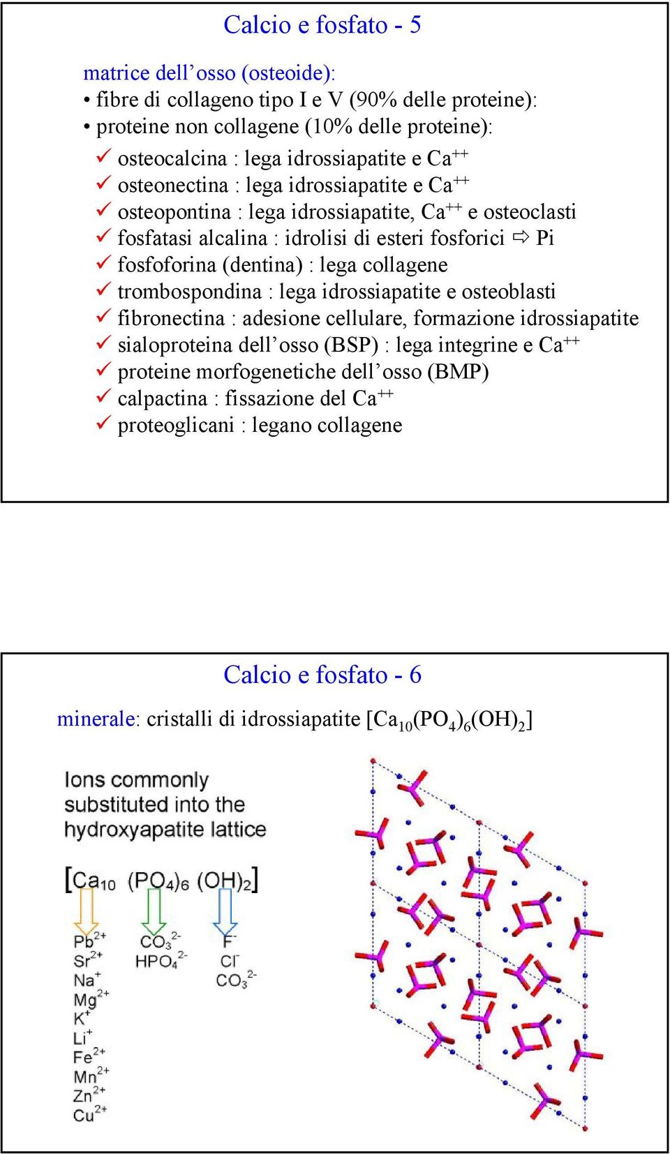 lega collagene trombospondina : lega idrossiapatite e osteoblasti fibronectina : adesione cellulare, formazione idrossiapatite sialoproteina dell osso (BSP) : lega integrine e Ca ++